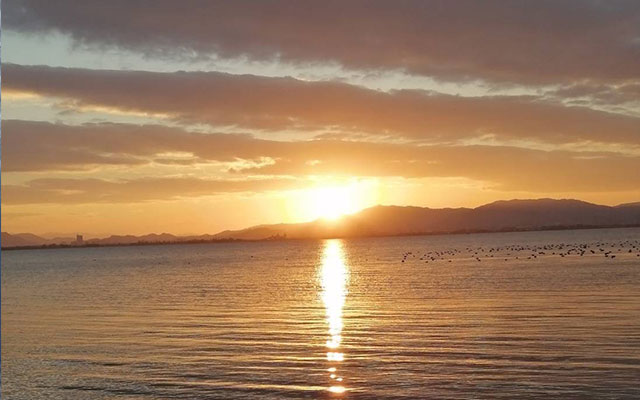 びわ湖沿いのガーデンテラス